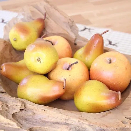 Silberspitze Apartament *